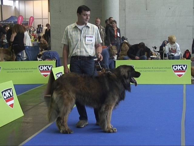 Salzburg Clubschau Mai 06 250 